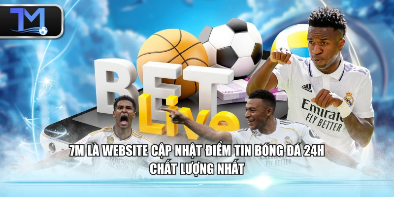 7M là website cập nhật điểm tin bóng đá 24h chất lượng nhất