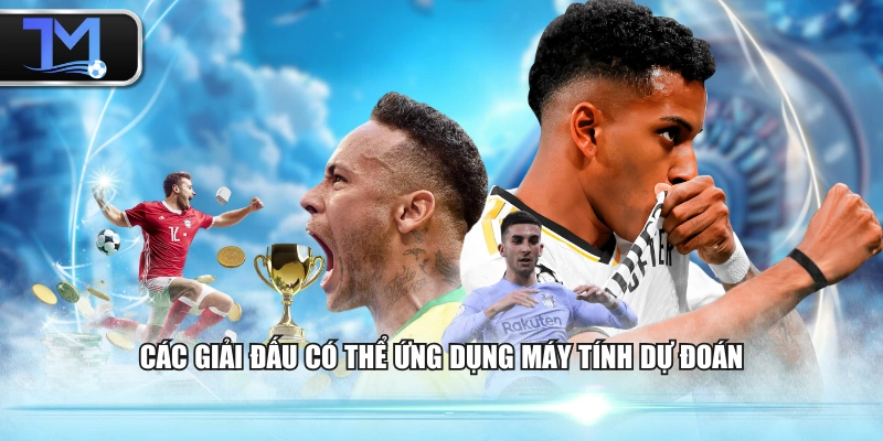Các giải đấu có thể ứng dụng máy tính dự đoán