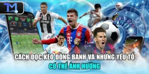 Cách Đọc Kèo Đồng Banh Và Những Yếu Tố Có Thể Ảnh Hưởng