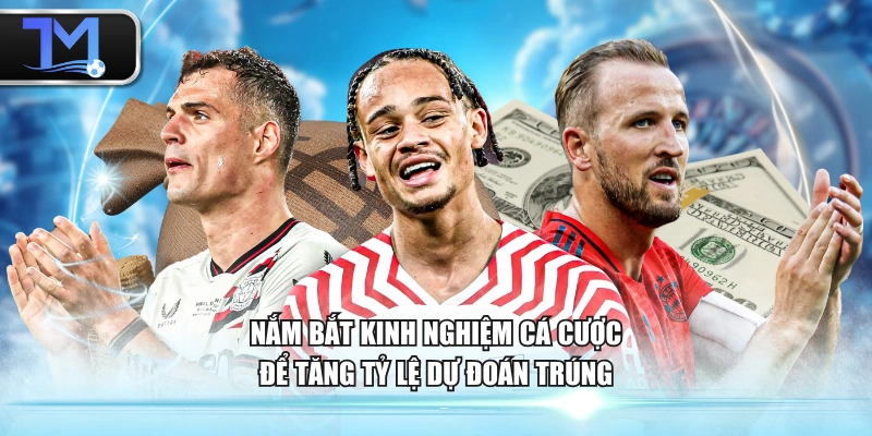 Nắm bắt kinh nghiệm cá cược để tăng tỷ lệ dự đoán trúng