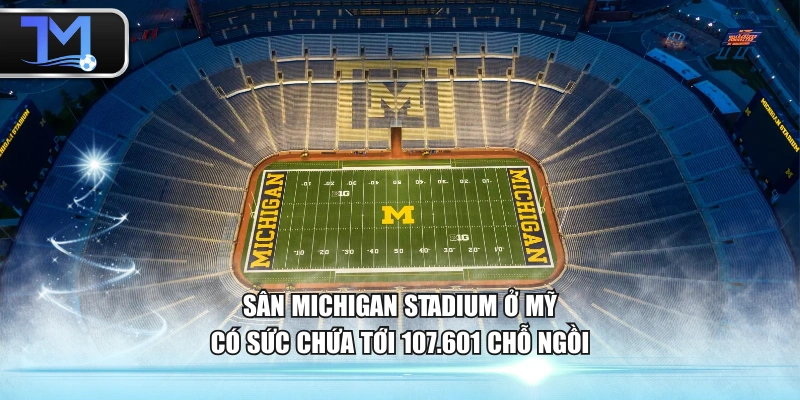 Sân Michigan Stadium ở Mỹ có sức chứa tới 107.601 chỗ ngồi